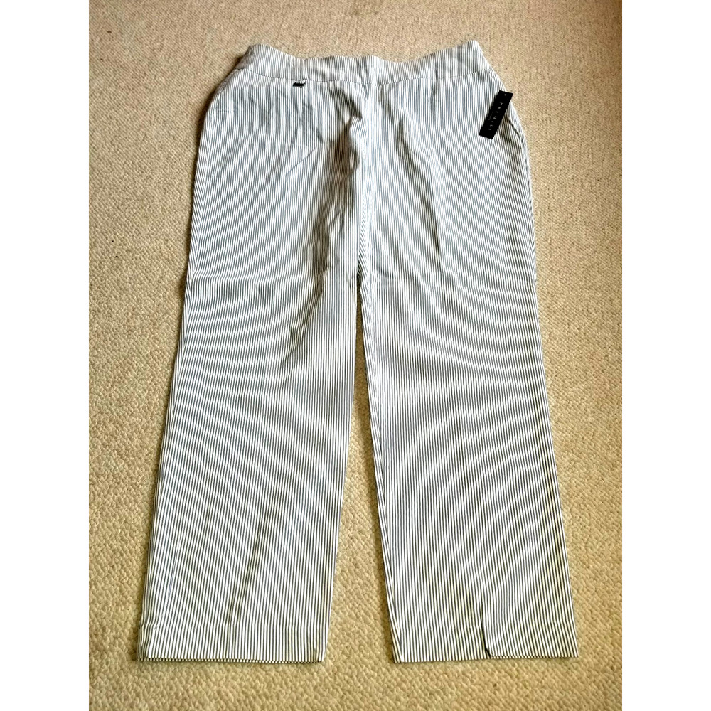 NWT $68.00 Womens Pants-PREMISE-blue/white striped seersucker stretch pull on-1X